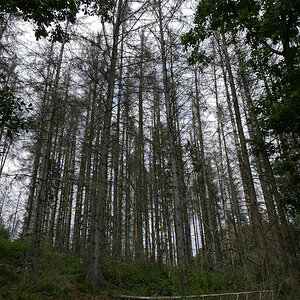 _1220490KAxl.jpg