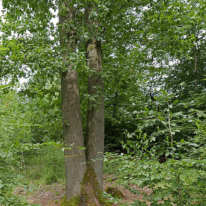 P1220437KAxl.jpg