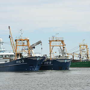 DSC_1376.JPG