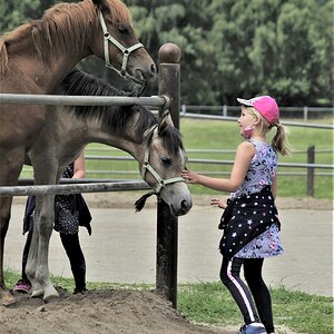 Tierliebe.jpg