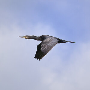 _DSC8209NF.jpg