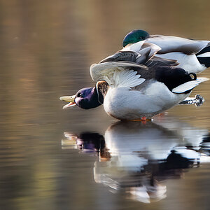 _DSC8131-Bearbeitet-1.jpg