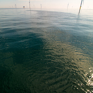 20200808_114127_nf.jpg