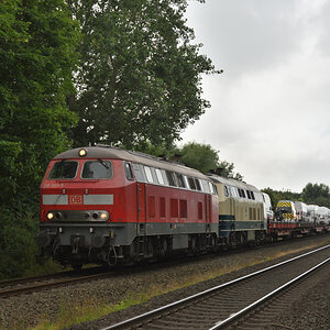 DSC_1553.JPG
