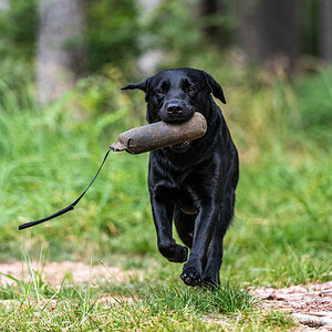 Dummytraining im Wald