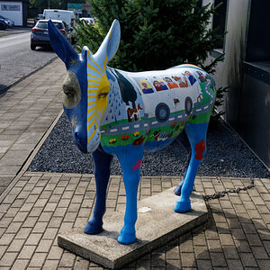 Z50_1684_DxO.jpg