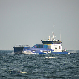 20200815_084708_nf.jpg