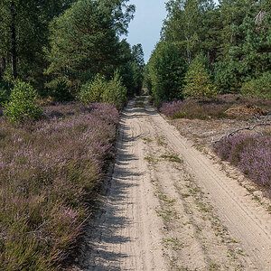 Sandweg (1 von 1).JPG