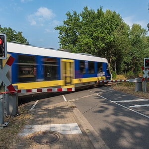 Erix (1 von 1).JPG