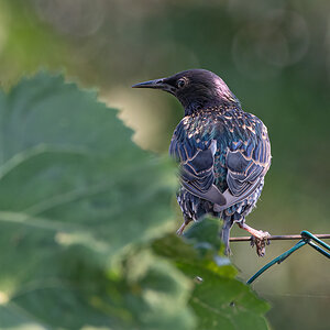 OF5_03879.jpg