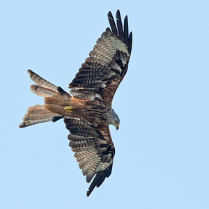 OF5_03900.jpg
