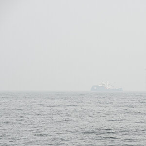 20200817_122944_nf.jpg