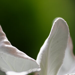 D72_6165_DxO.jpg