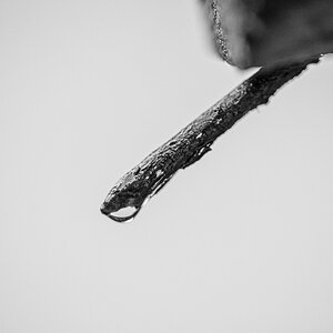 HAR_6679-3.jpg