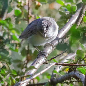 DSC_1916small2.jpg