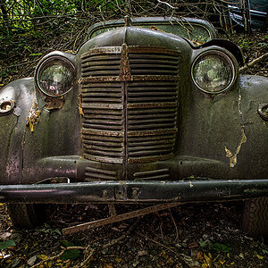 DSC_0017.jpg