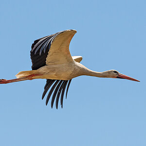 OF5_02470.jpg