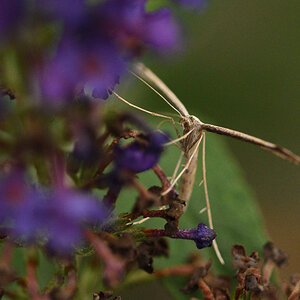 DSC_4051_00001.jpg
