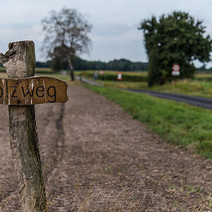 Holzweg (1 von 1).JPG