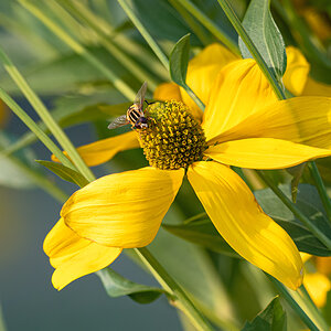 OF5_04123.jpg