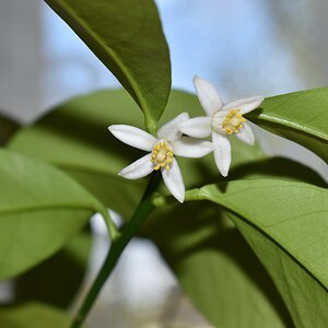 comp_DSC_0670.jpg