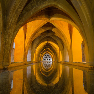 _DSC1384.jpg