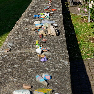 DSC_7977_DxO.jpg