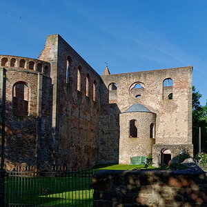DSC_7981_DxO.jpg