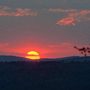DSC_2408_DxO (2).jpg