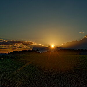 DSC_7669_DxO.jpg