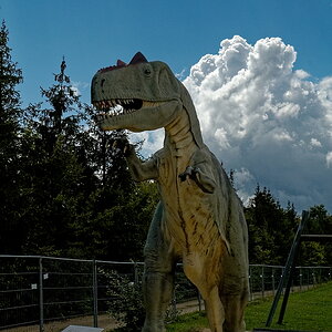 DSC_0386_DxO.jpg