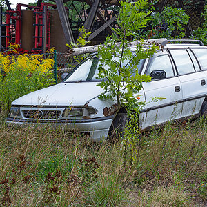 OF2_43414.jpg