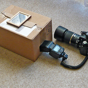 OF-P1040593.jpg