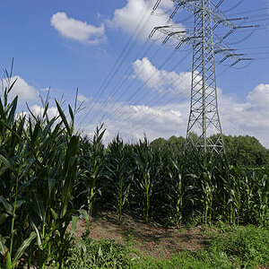 _1220512Kxl.jpg