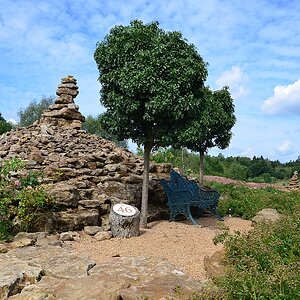 DS7_4591.jpg