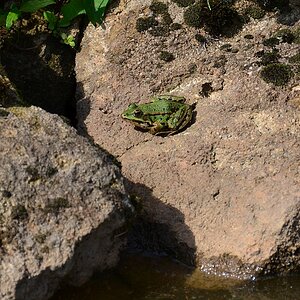 DS7_4603.jpg