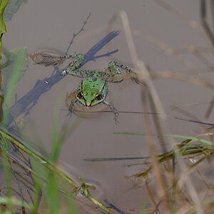 DS7_4634.jpg