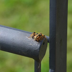 DS7_4661.jpg