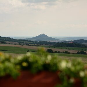 DSC_0278_00001n1.jpg