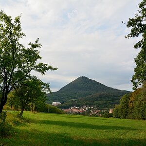 DSC_0290_00001n1.jpg