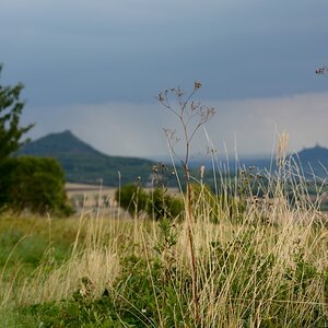 DSC_0300_00001 (3)n.jpg