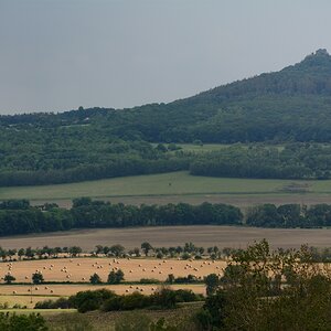 DSC_0307_00001n.jpg