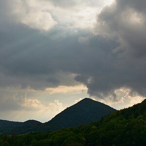 DSC_0309_00001n.jpg