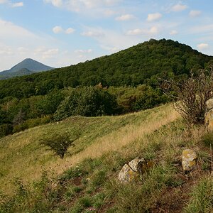 DSC_7239_00001n.jpg