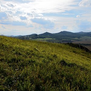 DSC_7253_00001n.jpg