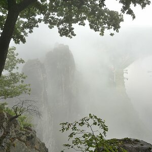 DSC_2452_00001_04n.jpg