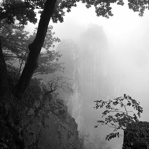 DSC_2453_00001_02n.jpg