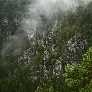 DSC_2457_00001_05n.jpg