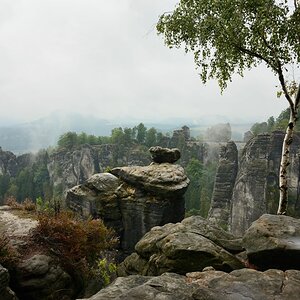 DSC_2460_00001n.jpg