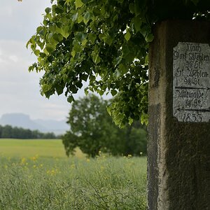 DSC_1085_00001n.jpg